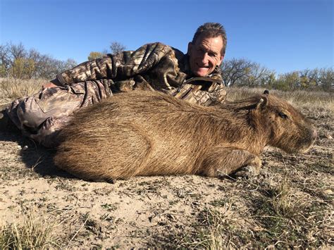 Capybara - Pope Brothers Guide Service - Hunts in Texas