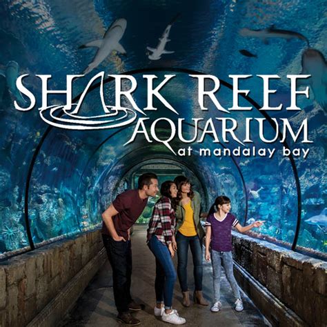 Shark Reef Aquarium Tickets - Last Minute Deals