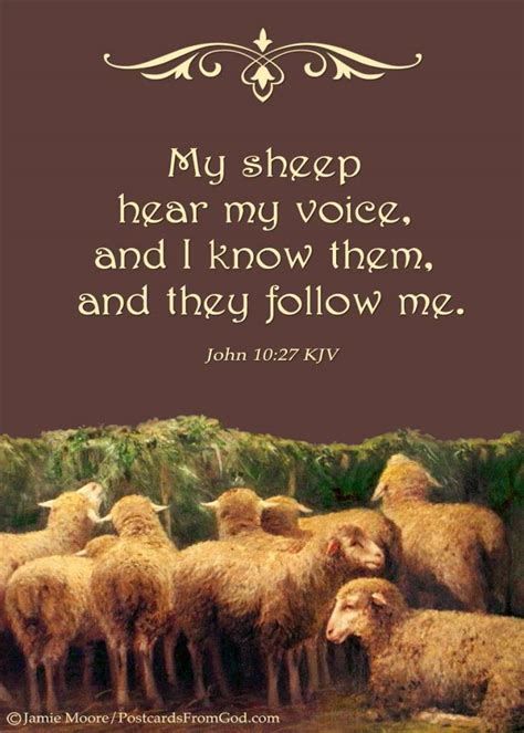 My sheep hear my voice… – Heeearing With Heart