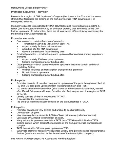 Promoter Sequence - Revision Notes