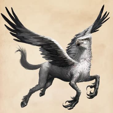 Hippogriff | Harry Potter Wiki | Fandom