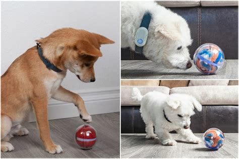 Pebby Smart Ball - Taking Interactive Pet Toys to the Next Level!