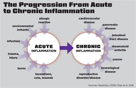 Inflammation: Obesity, Diabetes, Aging and Exercise - IDEA Health & Fitness