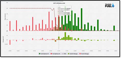 Option Trading Explained - Beginner to Expert Guide | Trading Fuel