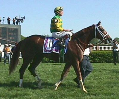 The Best Kentucky Derby Winners: Charismatic (1999) Equestrian Riding ...