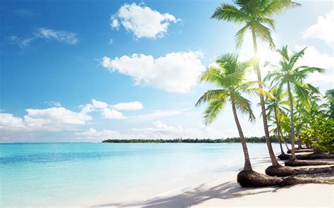 tropical beach sand - HD Desktop Wallpapers | 4k HD