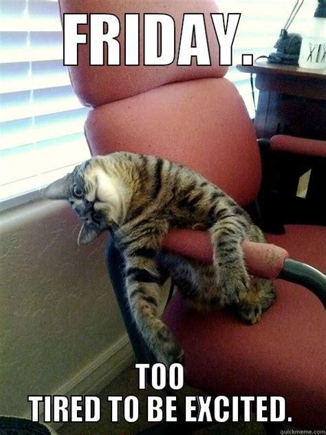 Its Friday Meme Cat : It S Friday 24 Pics Friday Cat Funny Animals Cats ...