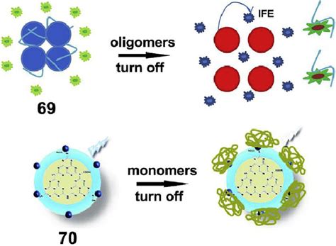 Schematic representation of the fluorescence probes 69 and 70 for ...