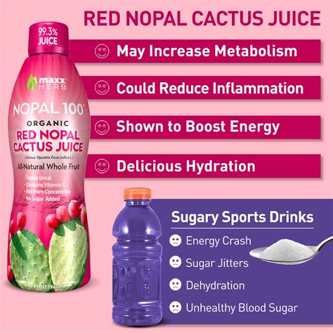 Red Nopal Cactus Juice – Maxx Herb