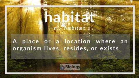 Habitat Definition and Examples - Biology Online Dictionary