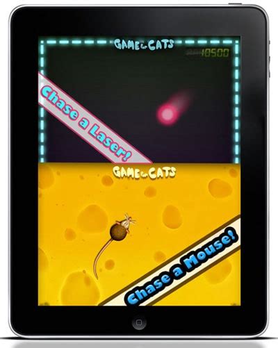 Gear Guide: 10 Apps for Cats and Their Human Staffs - Catster