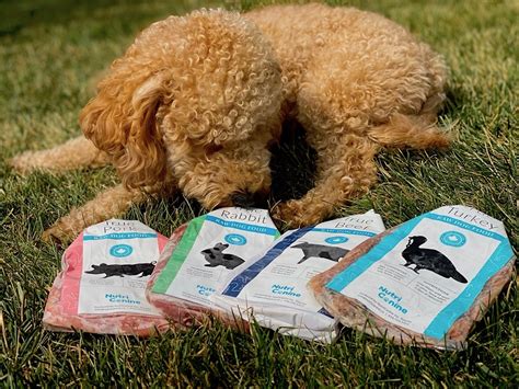 Locally Made-to-Order Raw Dog Food Brand NutriCanine Sets Out to Extend Your Dog’s Life - View ...