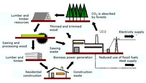 Biomass: Key Advantages and Disadvantages