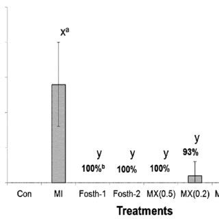 Gall formation on chili pepper roots with no inoculation and no ...