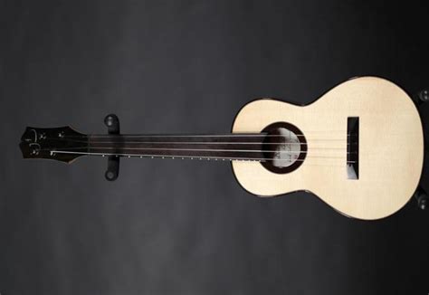 Fretless-Ukulele