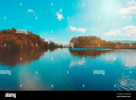 The black river in Jamaica Stock Photo - Alamy