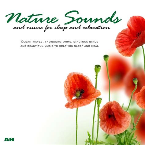 Nature Sounds and Music for Sleep and Relaxation - Nature Sounds and ...