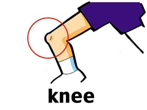 Free Knee Cliparts, Download Free Knee Cliparts png images, Free ...