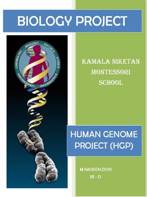 BIOLOGY class 12 Project | Human Genome | Base Pair