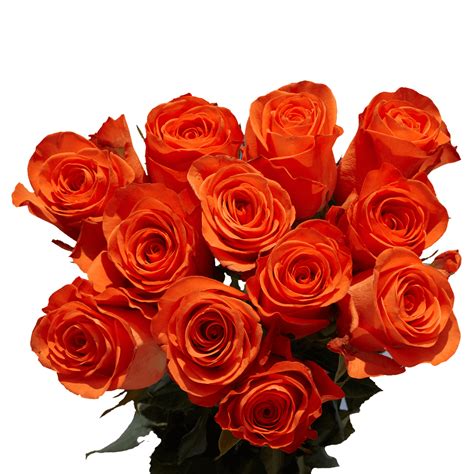 50 Stems of Orange Wedding Roses- Beautiful Fresh Cut Flowers- Express Delivery - Walmart.com ...