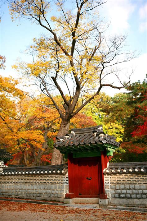Autumn in Changdeokgung (Palace) (Source) | South korea travel, Ancient ...