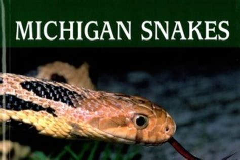 Michigan Snakes - A Field Guide and Pocket Reference - MSU Extension