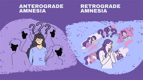 A Journey Into Anterograde and Retrograde Amnesia - Project Cleris