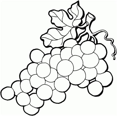 Download High Quality grape clipart black and white Transparent PNG ...