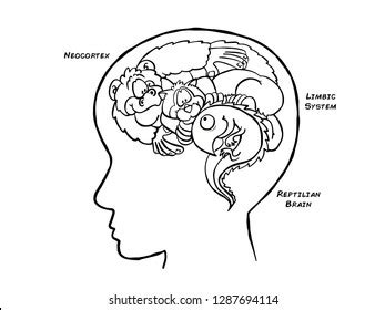 13 Triune brain Images, Stock Photos & Vectors | Shutterstock