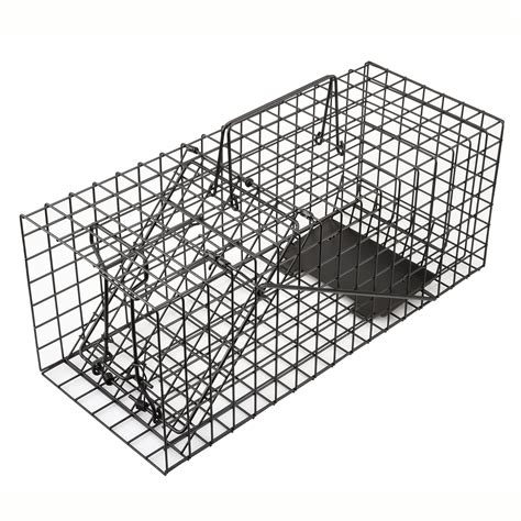 Anyhall Live Squirrel Trap Humane Animal Cage Trap Black for sale ...