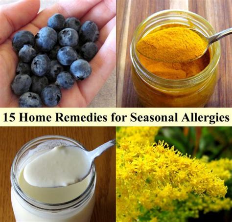 Home Remedies For Allergies 01webdirectory.com