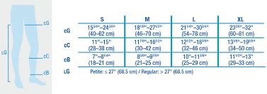 Ted Hose Size Chart For Women