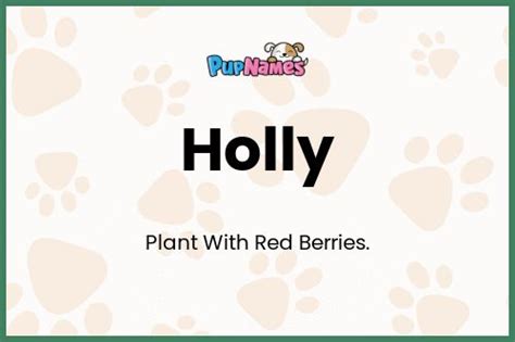 Holly 🐶 - Dog Name Meaning & Popularity | PupNames.com™