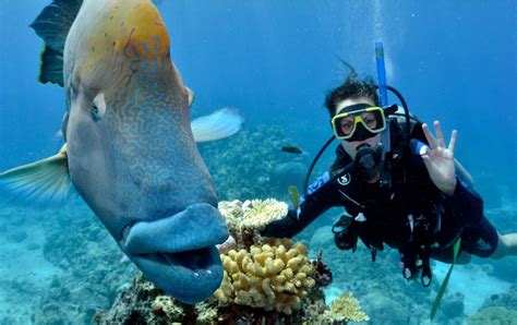 great-barrier-reef-scuba-dive | Hot Getaways