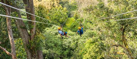 Kohala Zipline - Kohala Zipline Canopy Tour