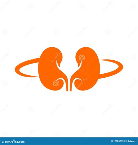 Kidney Logo Design Inspiration Template Vector Stock Vector - Illustration of line, flat: 173857339