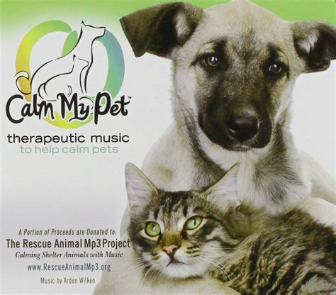 Calm My cat Calming Music That Helps cats Cope with Common Phobias ...