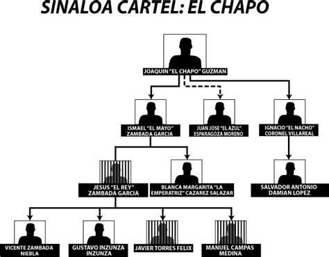 Sinaloa Cartel ~ Borderland Beat