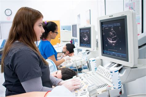 Diagnostic Cardiovascular Sonography | Eastwick College