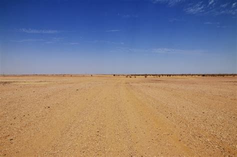 Premium Photo | Sahara desert of sudan