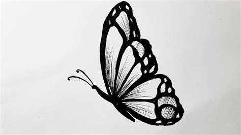 How to draw a butterfly easy step by step || Butterfly drawing - YouTube