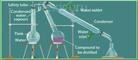 Experiment 4: Extraction of Essential Oils by Steam Distillation Flashcards | Quizlet