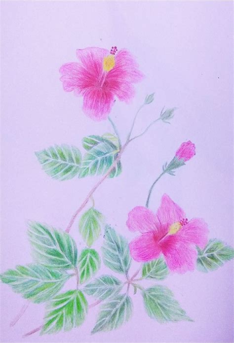 flower3 | Hibiscus, Painting, Plants