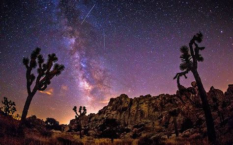Download Tree Joshua Tree Milky Way Star Starry Sky Sky Night Desert Nature Joshua Tree National ...