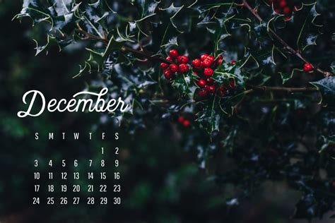 December Wallpaper Calendar - Salli Giuditta