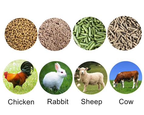 The best feed pellet size for animal,poultry,livestock and fish