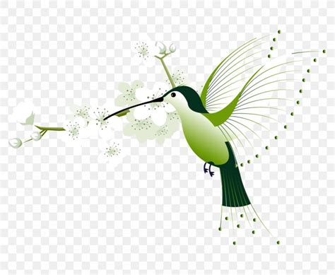 Hummingbird Euclidean Vector Flower, PNG, 1135x932px, Bird, Beak ...