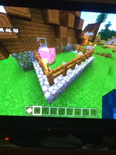 Found a naturally spawned pink sheep in the backyard of this village ...