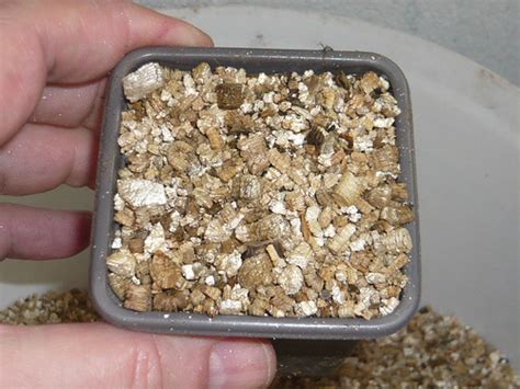 Vermiculite for Seed Sowing | Gardening Products