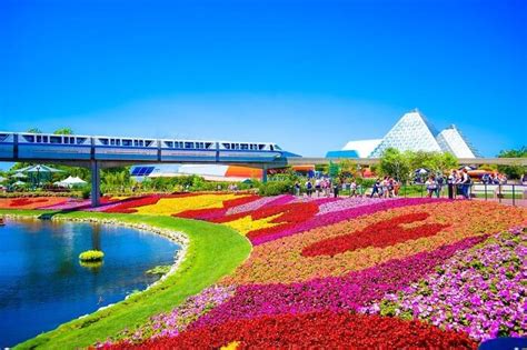 Best Family Resorts in Orlando, Florida for Disney World